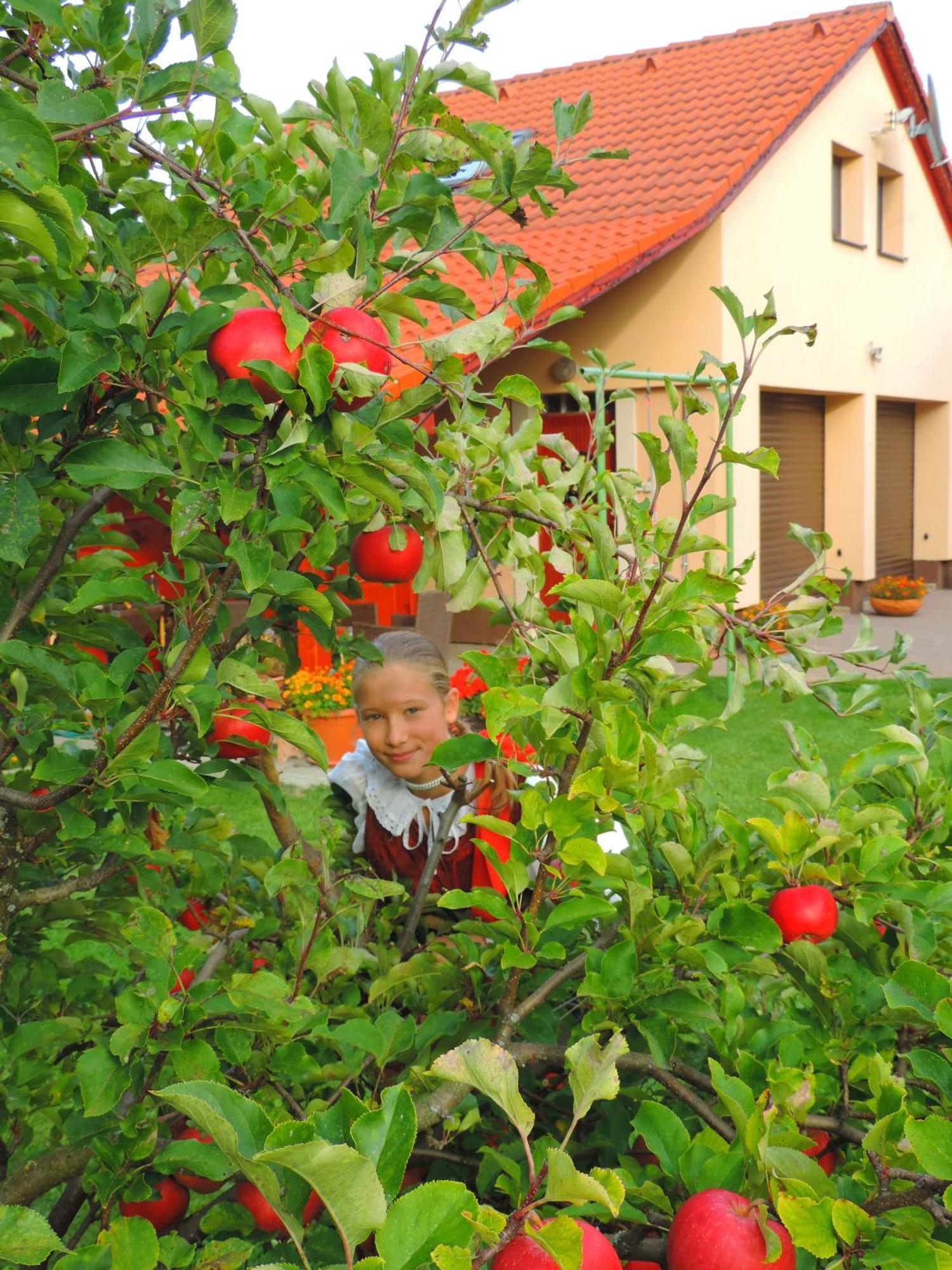 Holiday Home Linda Liptovsky Mikulas Exterior photo